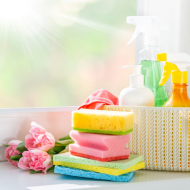 CLEANING SERVICES CHICAGO.png